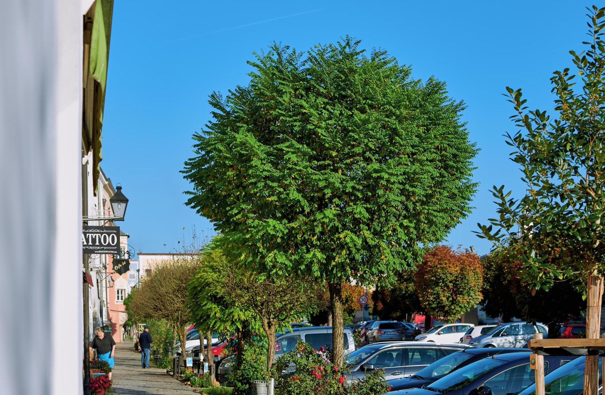 Ferienwohnung Tittmoning Zwischen Salzburg, Burghausen Und Oesterreich Екстер'єр фото
